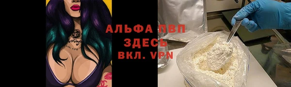 сатива Алзамай