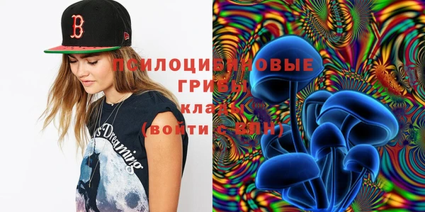 бутират Алексеевка