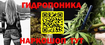 молекула духа Донской