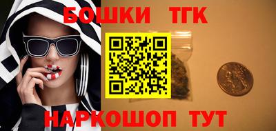 крисы Магадан