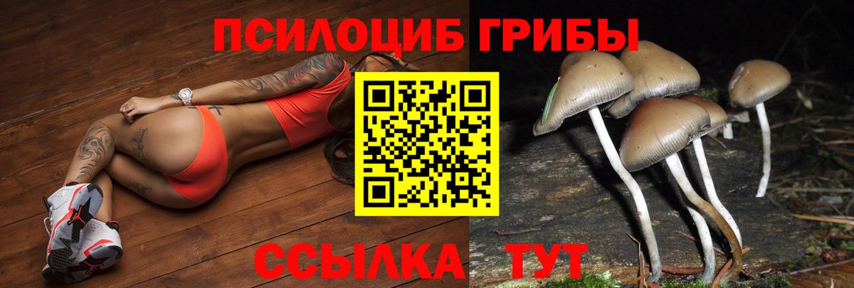 Псилоцибиновые грибы ЛСД  Псилоцибиновые грибы Cubensis  Вход с VPN  Миасс 